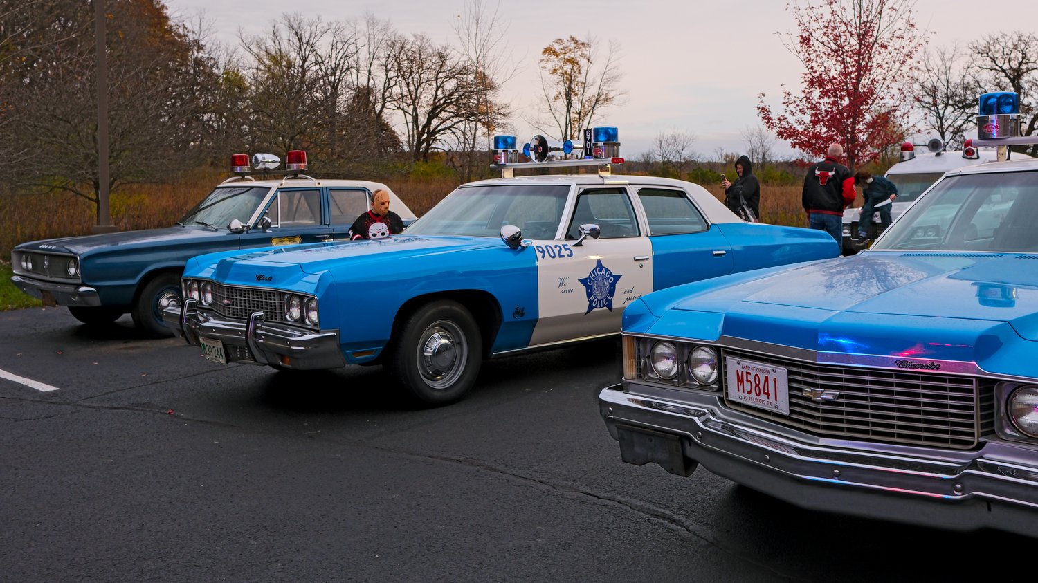 Vintage police cars on display.