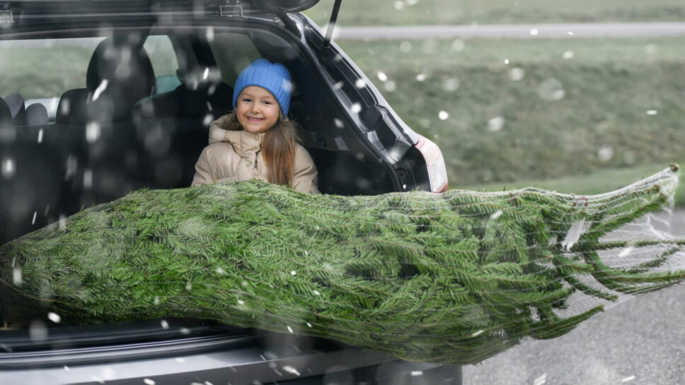 Girl sitting in back of car with netted tree for Christmas.