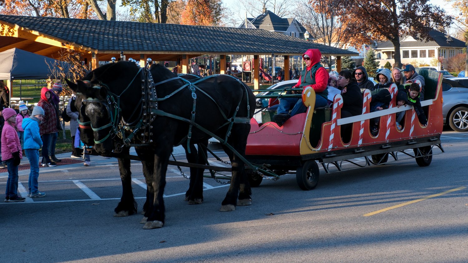 Horse drawn sleigh ride.