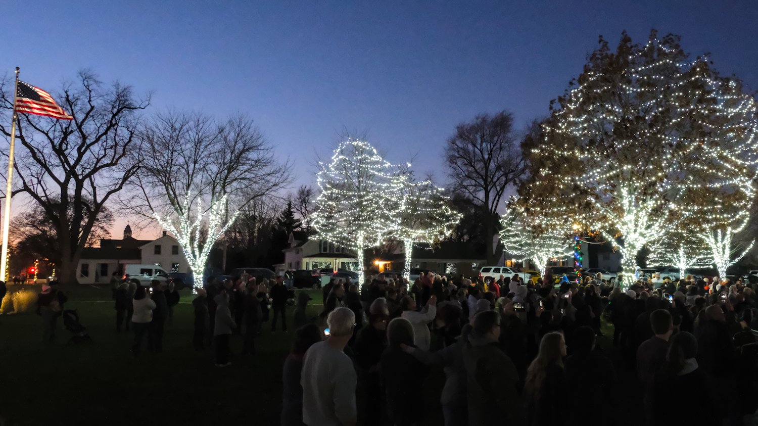 Lights turned on for the other trees in the park.