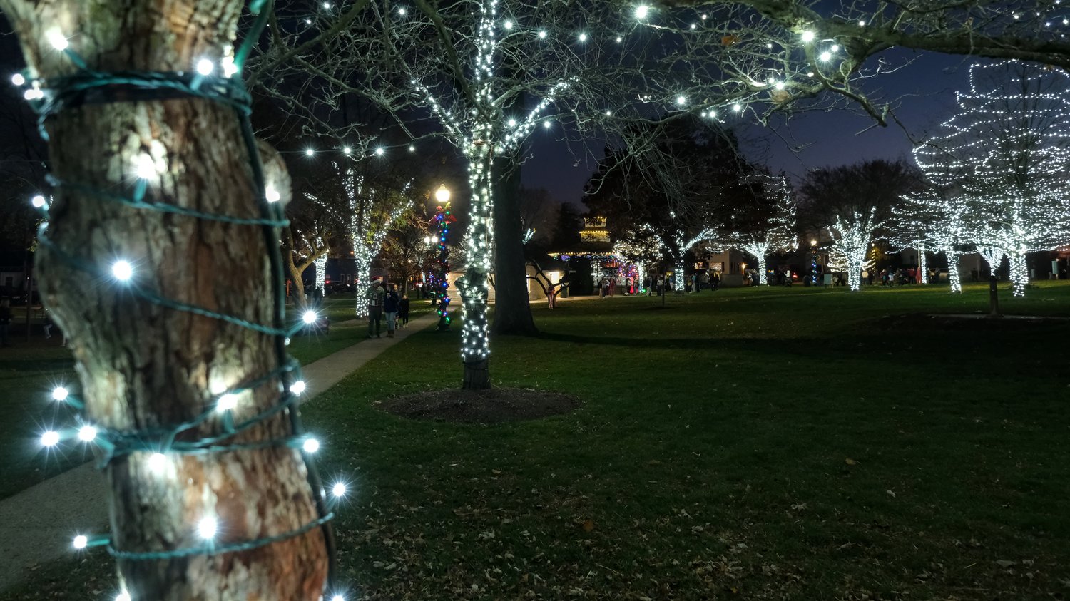 Walkway and lawn of the park with lighted trees.
