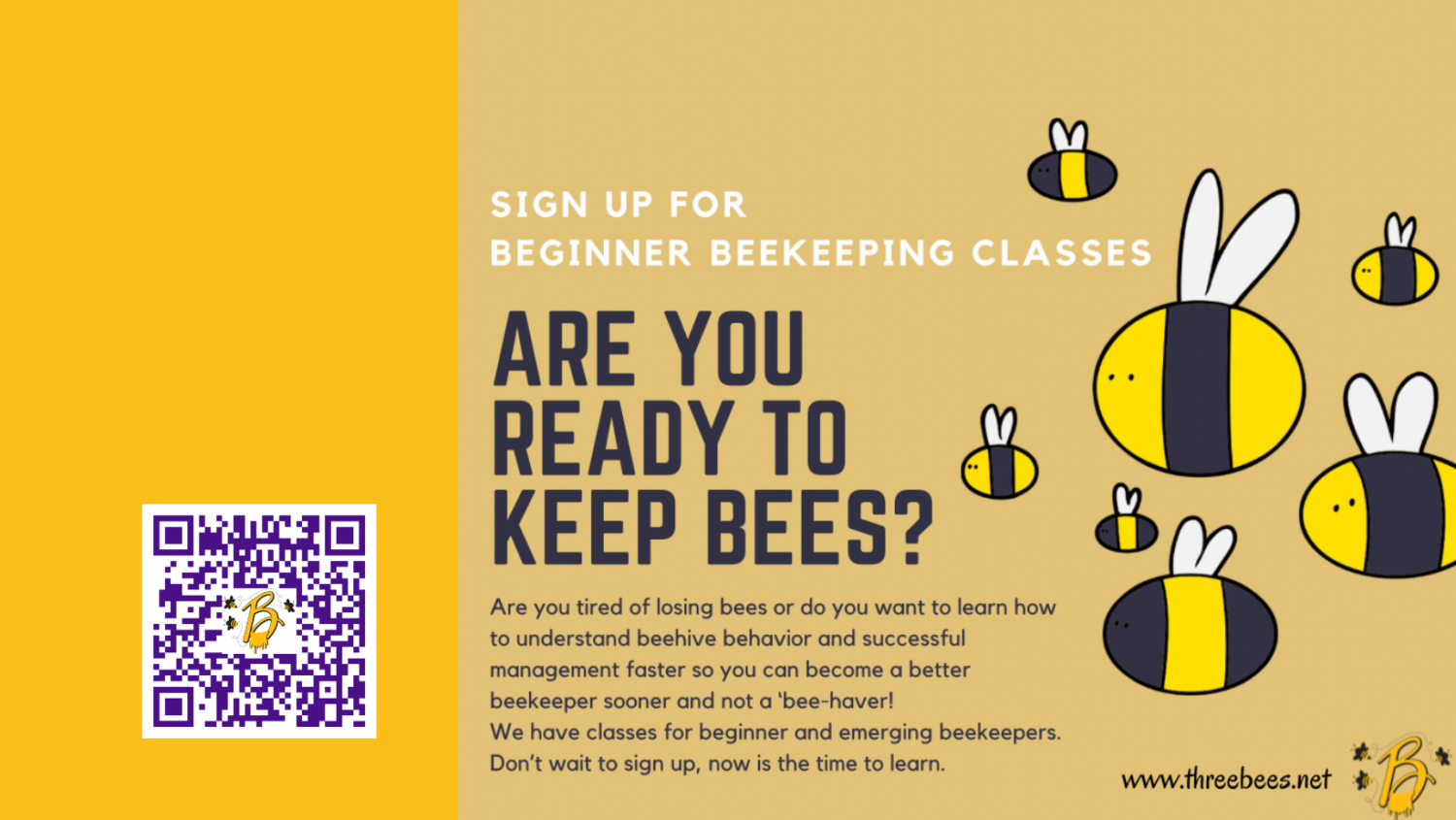Beginner Beekeeping Classes Learn to keep bees 1500x845