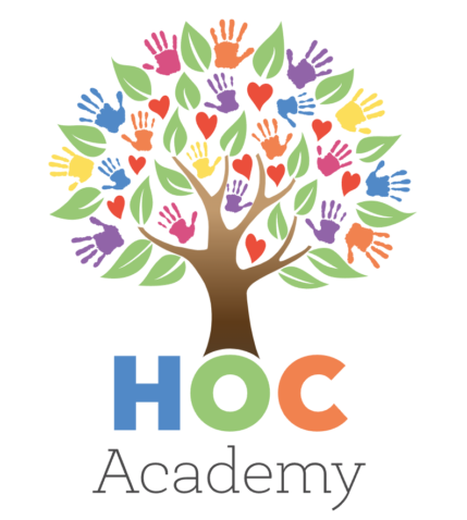 hoc academy 429x478