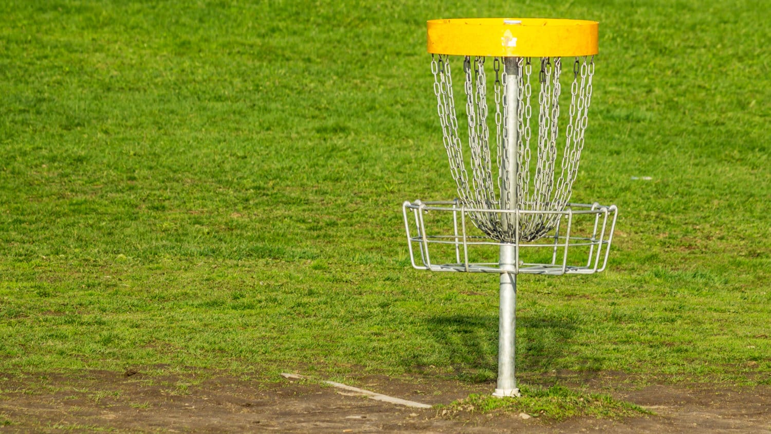 Frisbee golf basket.