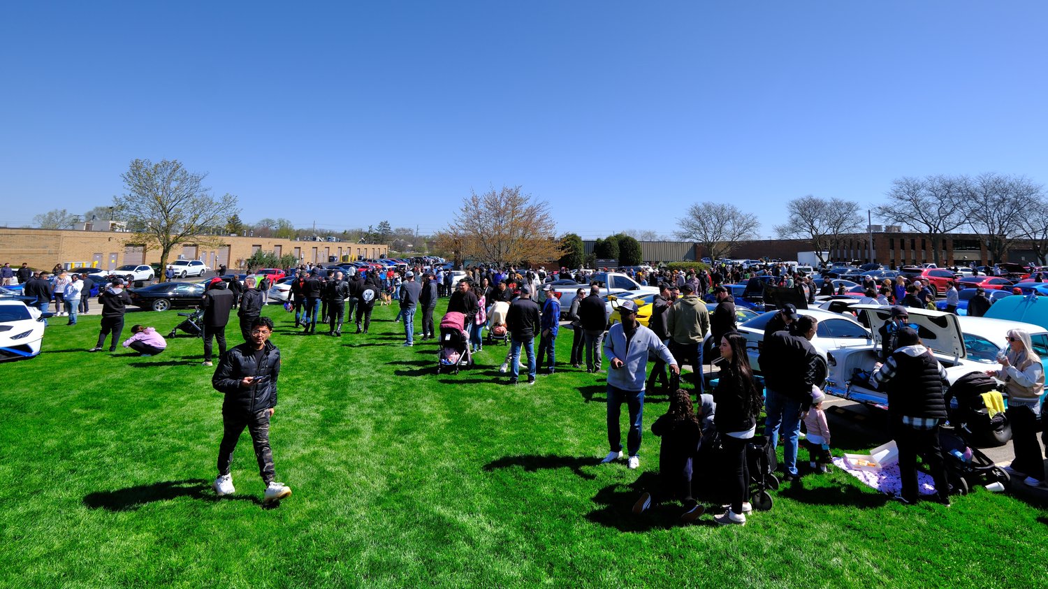 Blue skies, green grass, and a ton of car lovers.