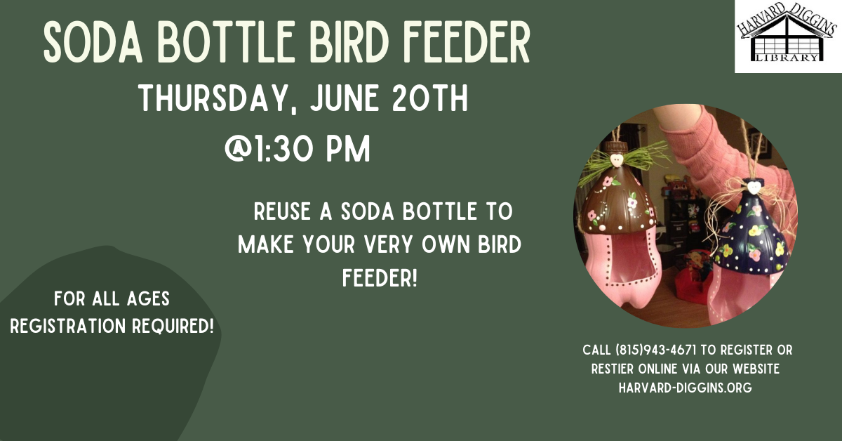 June 20 Bird Feeder
